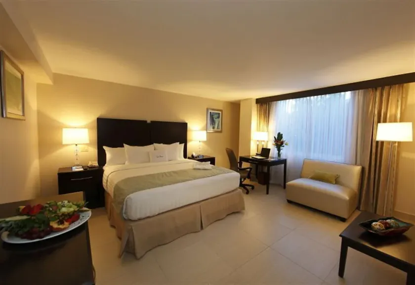 Studio Coliving Junior Suite - Image 1