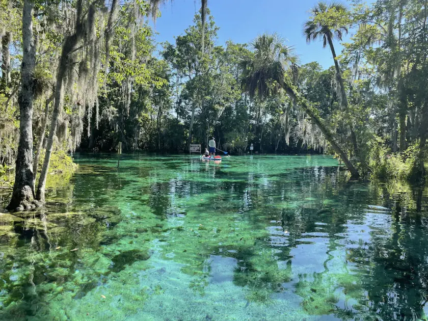 Florida springs minutes from you@Chassdoorway - Image 1