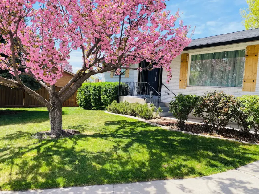 Enjoy Artisan Bread ❤️ Quiet Rambler + Historic Park, Firepit, Pets, 2 Car Garage - Image 1