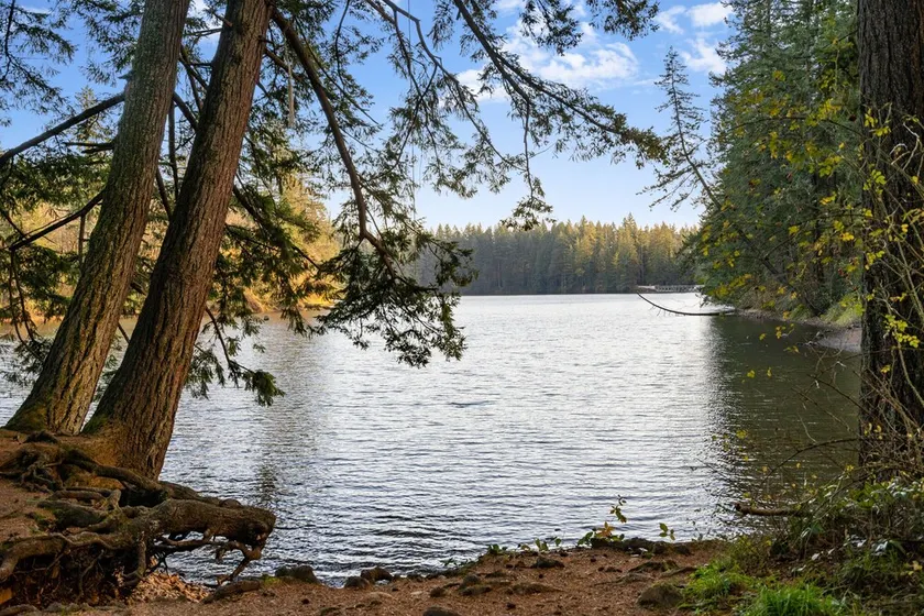 House near Lake w Beautiful Acres to Explore - Image 1