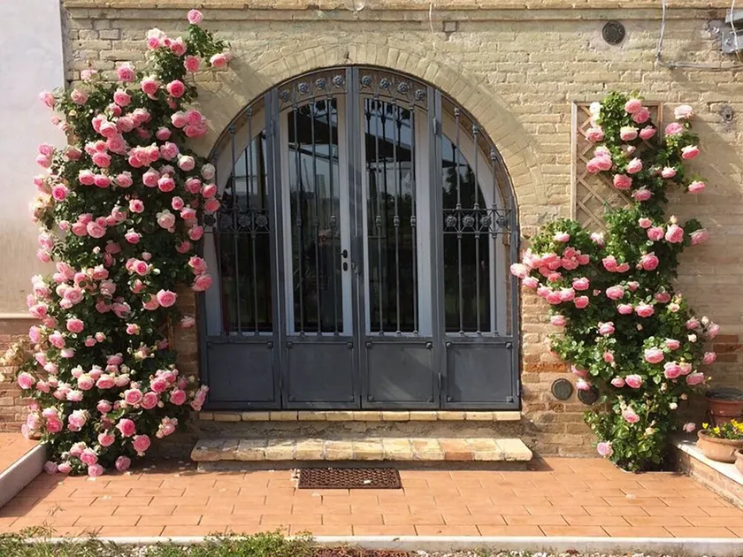 Maison immergée dans la campagne des Marches - Image 1