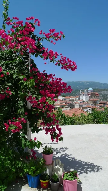 Village home, terraces, garden, gorgeous views, 15 min to beach - Image 1