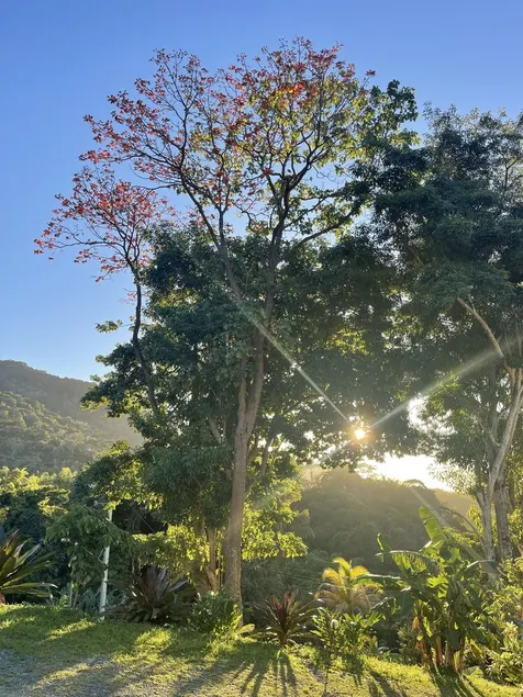 The Sunset Room at The Victory Villa - Image 1