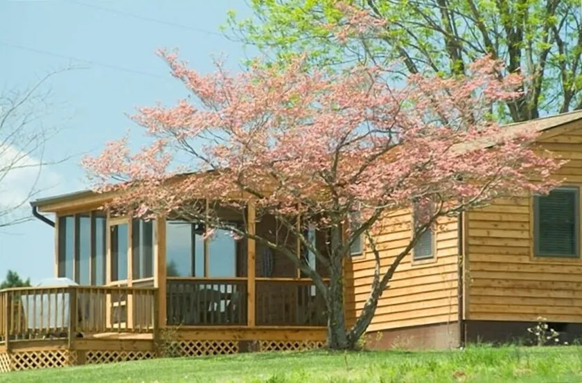 »Pond House '- på Kæmpe Horse Farm; Great for unge familier - Image 1