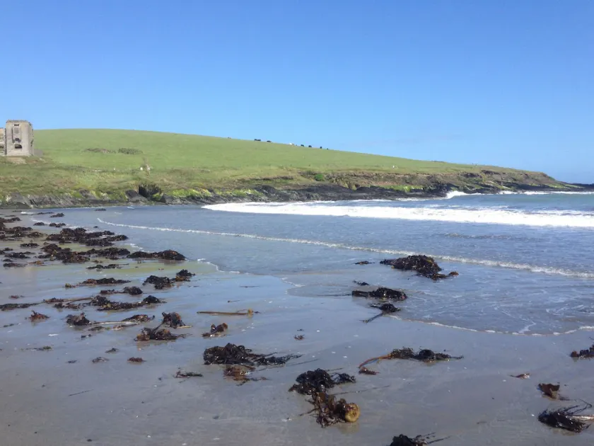 Cottage by the Sea, Courtmacsherry, Kilbrittain, Kinsale, West Cork - Image 1