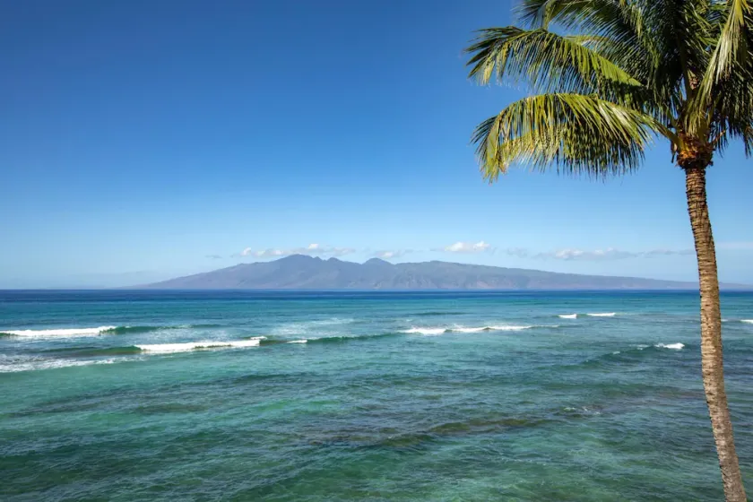 Gorgeous OceanFront 2BD Tropical Escape - Lokelani A203 - Image 1