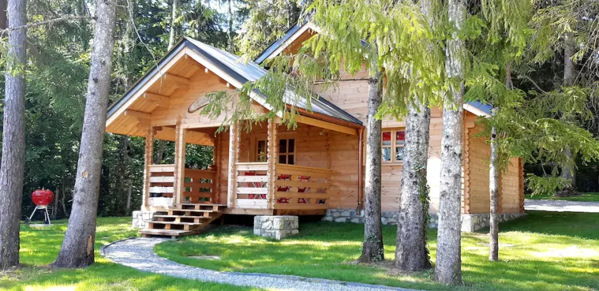 Chalet L' ADRET - Image 1