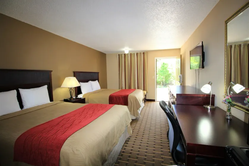 The Night Inn - Image 1