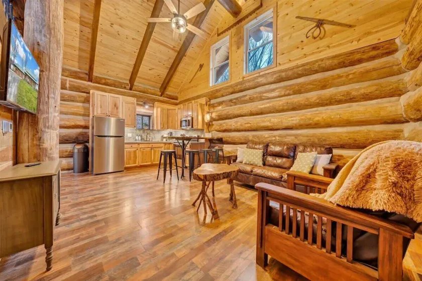 Real Log Cabin w/ Trout Pond close to Mcaffee Knob, Dragons tooth, Tinker Cliffs - Image 1