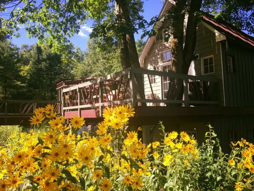 Baumhaus viele Vögel tolle Lage. ..... den ganzen Sommer viel zu tun ...... - Image 1