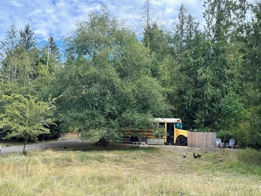 Bee Haven Bus at the RMR - Image 1