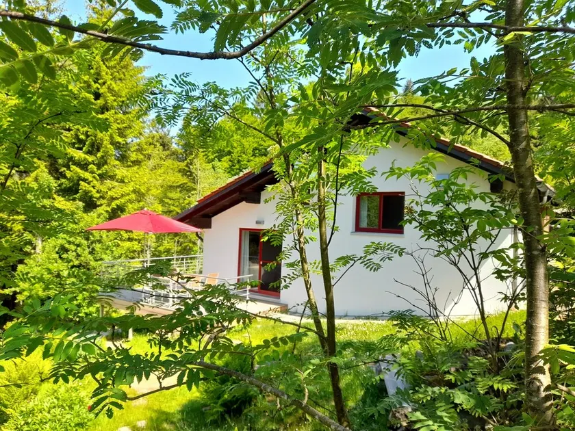 Casa vacanze 'Berghütte Waldhäuser' con vista montagna, terrazza privata e Wi-Fi - Image 1