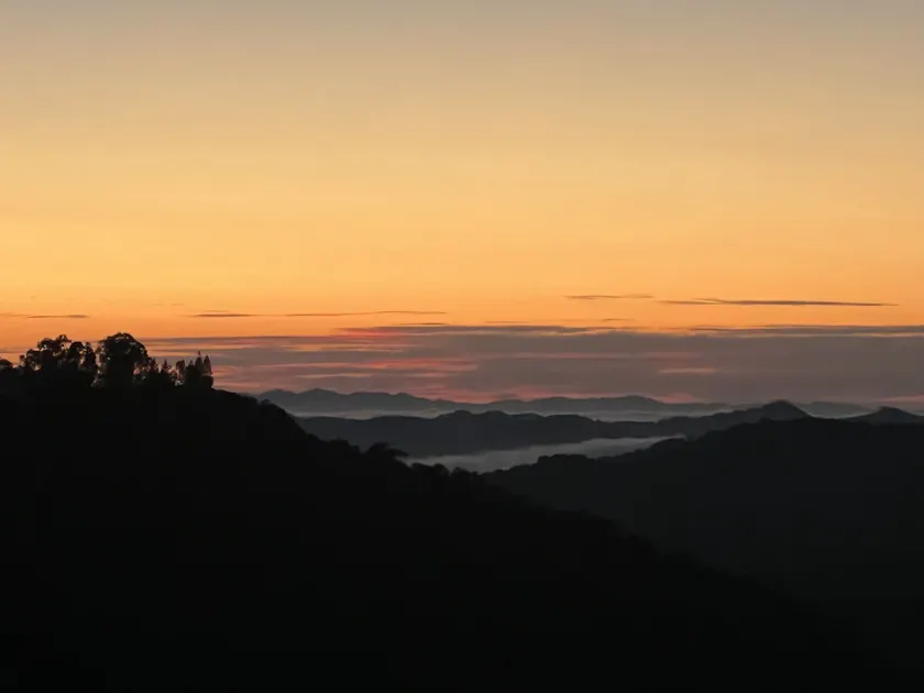 Escape into the Wooded Canyon - Image 1