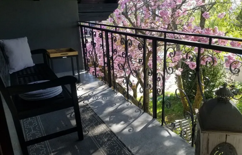 Breakfast on the balcony with Treehouse vibe, garden, barbecue, reservoir, thermal spa - Image 1