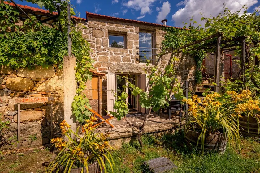 Terrus Vine, Douro Valley Casa da Eva 67400 / AL - Image 1