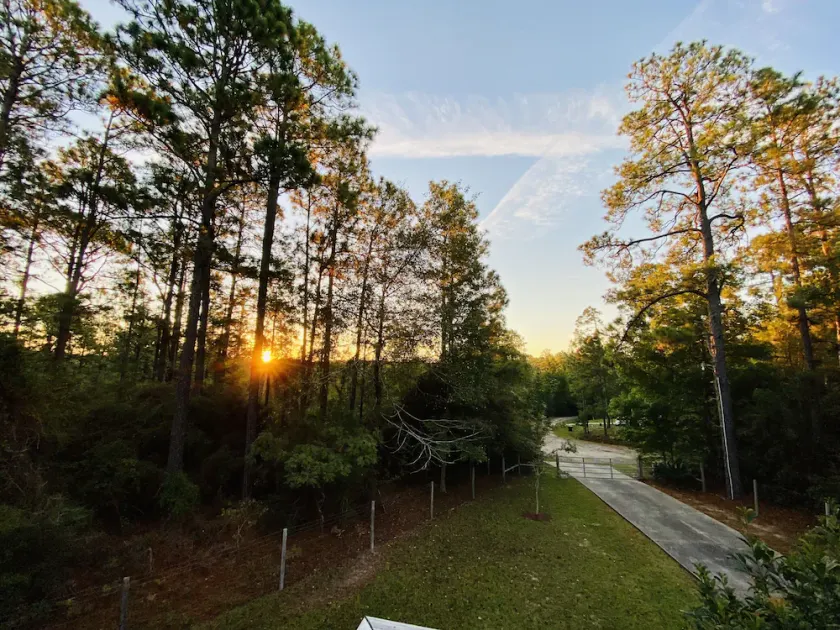 Sugarberry Cabin - Near Lake Sam Rayburn • Pets • Fire Pit - Image 1
