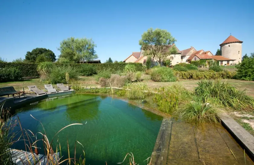 Les Grenouilles - Saint Aubin EN Charollais - Image 1