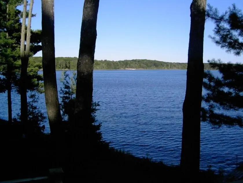 The Cabin at Double Eagle - A large home on beautiful Stone Lake! - Image 1