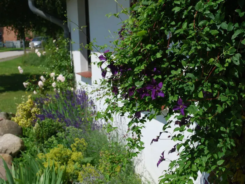 Wohnung In Dargun Mit Terrasse Garten Und Grill - Image 1