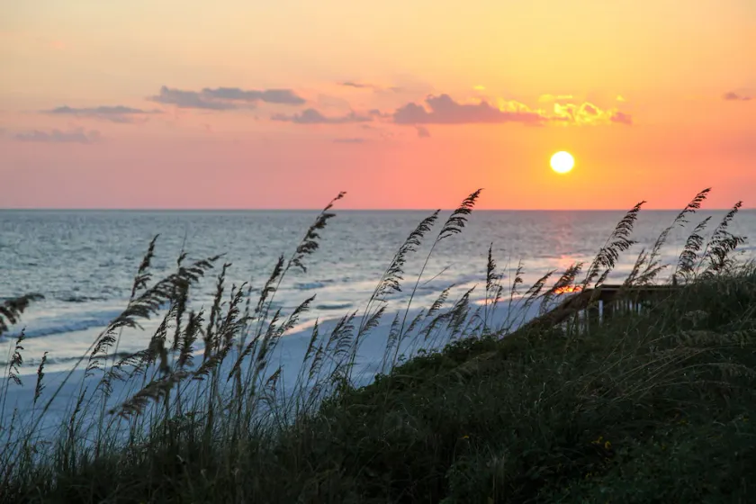 Dune Our Thing - Image 1
