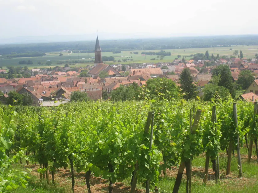Gite sur la route des vins au calme avec belle vue sur chateau de Kintzheim - Image 1