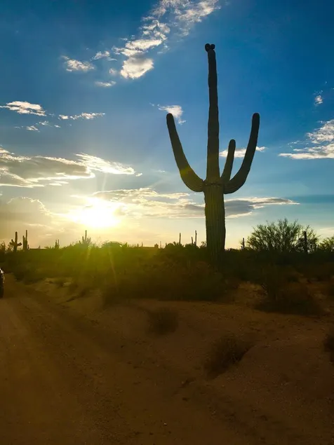 Fall Winter SPECIALS:Cozy Farmhouse in the Desert close to Troon,Mayo &WestWorld - Image 1