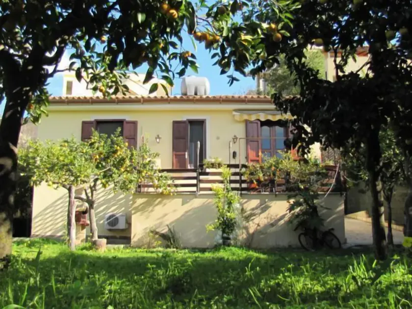 Cottage in the lemon grove on the sea - Image 1