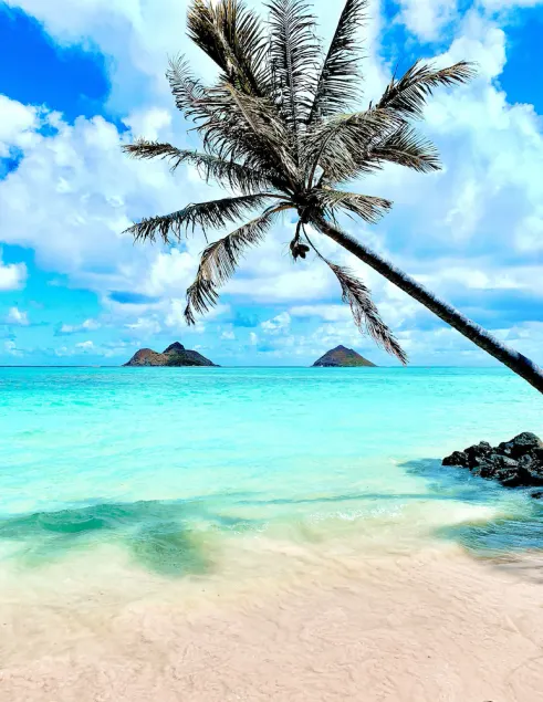Kailua Beach Lofty Bungalow - A premier luxury beachside bungalow - Image 1