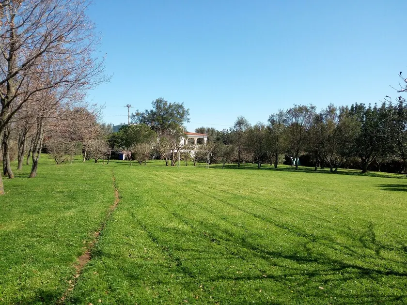 Villa Floris con Giardino Mediterraneo e Parco - Wifi - Image 1
