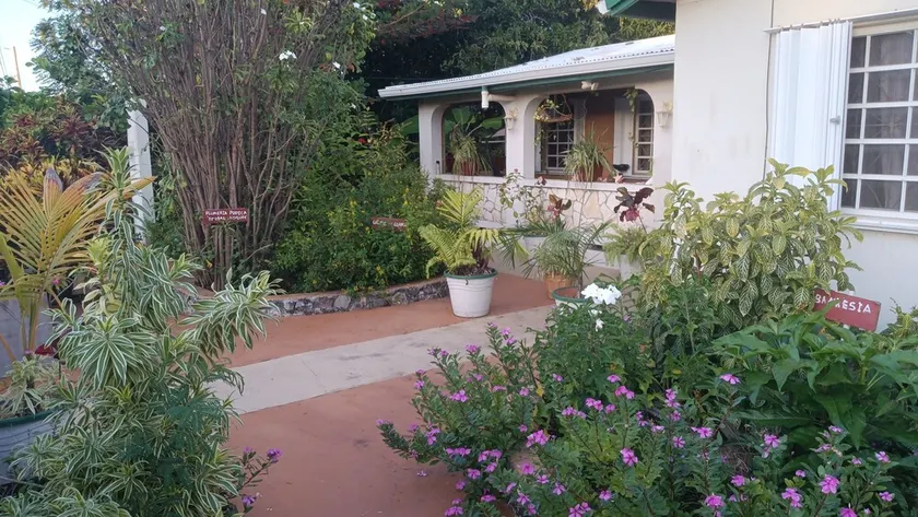 Smith House & Tropical Garden--Integrating Nature For Relaxation - Image 1