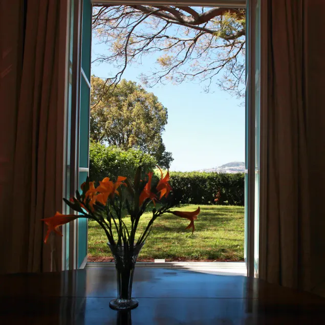 Quinta das Malvas - Quinta de Santa Luzia - Image 1