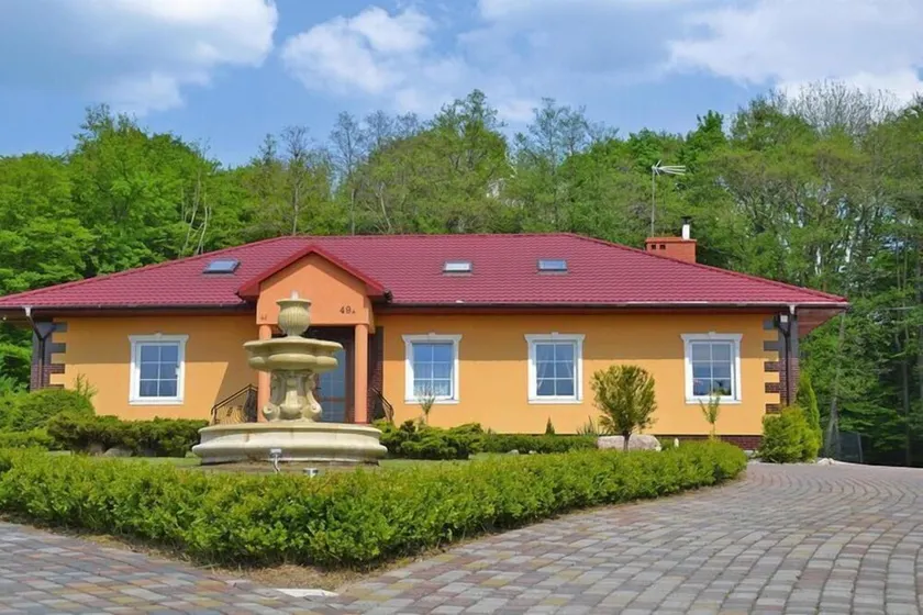 Comfortable XXL holiday villa by the pond - Image 1