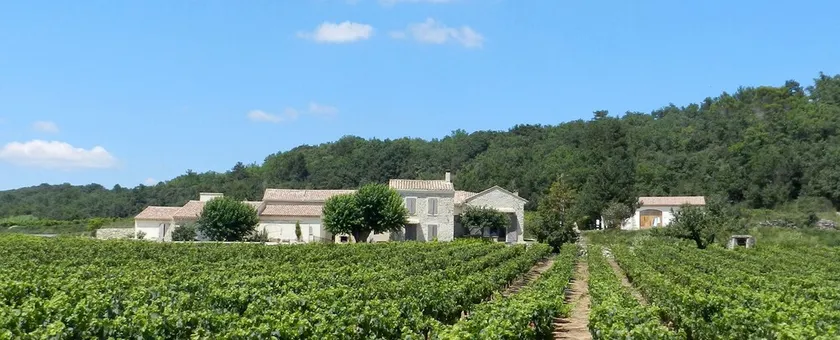 Provençal country estate (3 separate vacation homes) nestled in the middle of a vineyard - Image 1