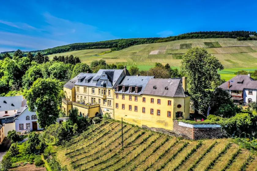Vacation at the winery - Image 1