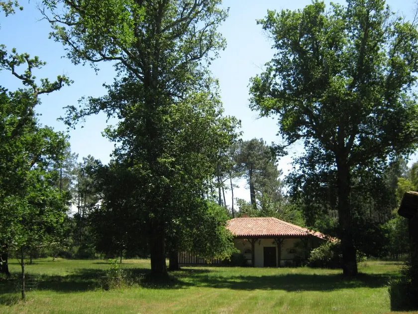 Landes hus i hjertet af skoven, 10 minutter fra strandene. - Image 1