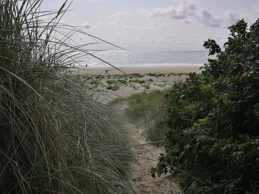 4 Person Holiday Home in Blavand - Image 1