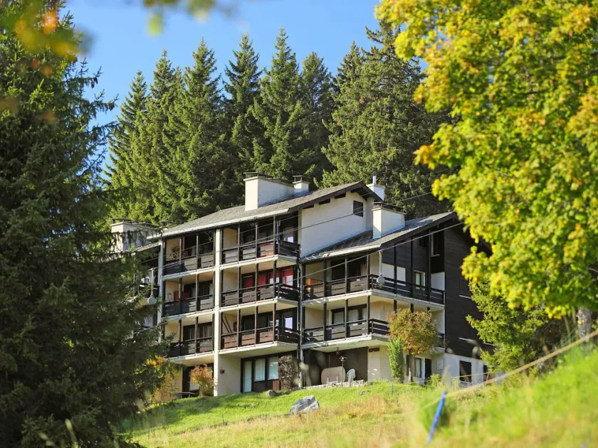 Lovely apartment for 4 guests with WIFI, TV, balcony and pets allowed - Image 1