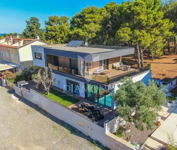 LuxuriousVilla , sauna, sea view, 200 m from the beach - Image 1