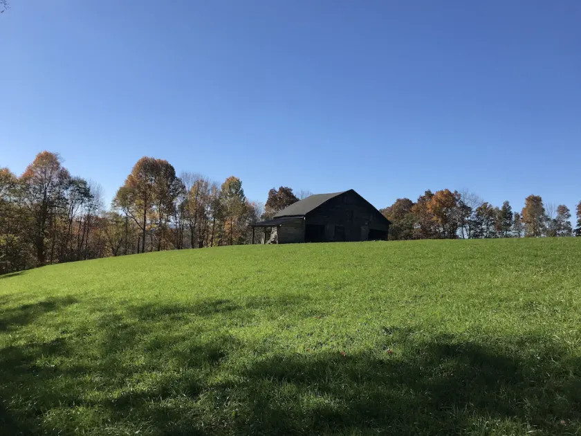 Authentic  Creekside restored farmhouse - birding  w 60 ac of wildlife trails - Image 1
