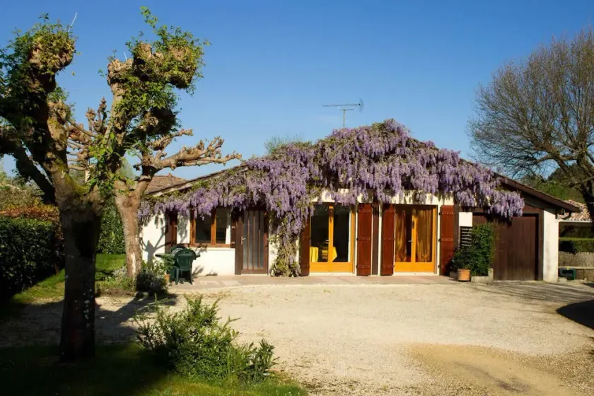 Gîte de la Mousque - Castets - Image 1