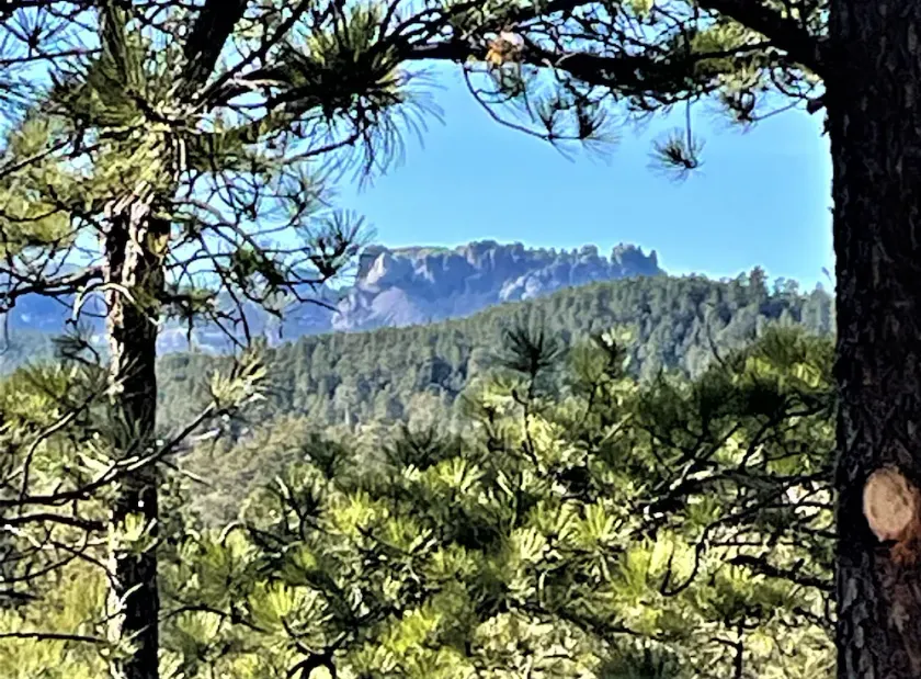 15 min to Mount Rushmore, Black Hills. - Image 1