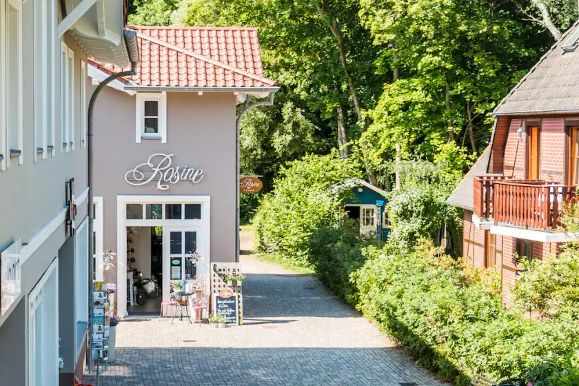 Pet-friendly near the beach - Image 1