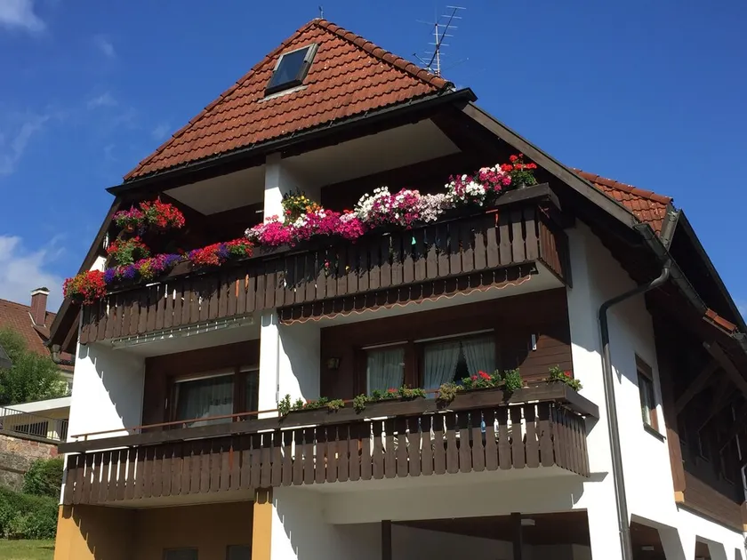 Lenzkirch - very cozy apartment - south-facing balcony - centrally in a quiet side street - Image 1