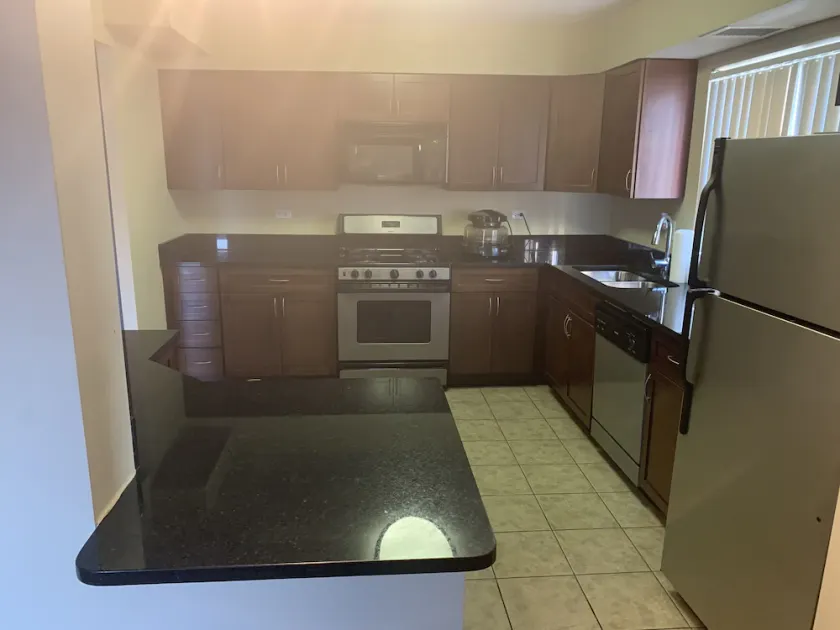 Spacious clean full apartment 20 min from downtown chicago - Image 1