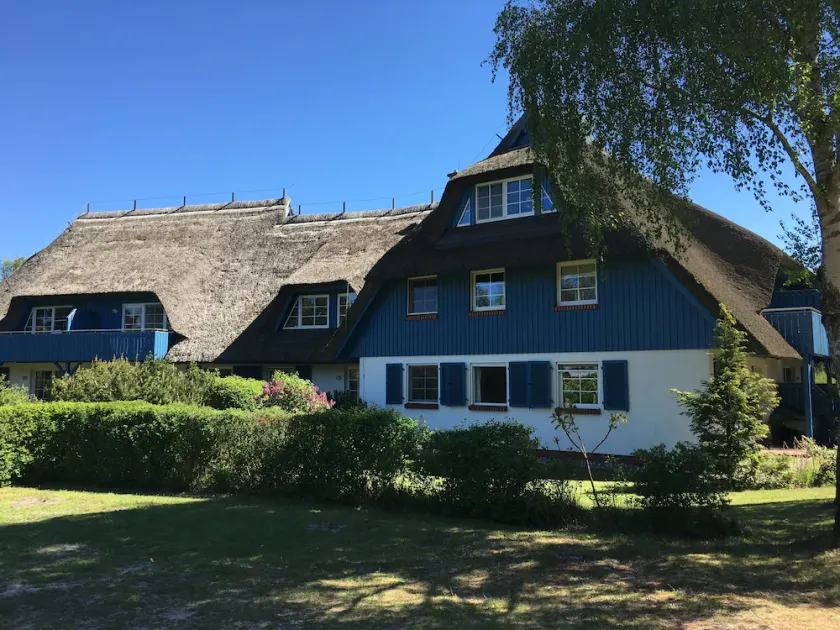 comfortable ground floor apartment; Reed - south facing; Terrace; familienfrdl .; calm - Image 1