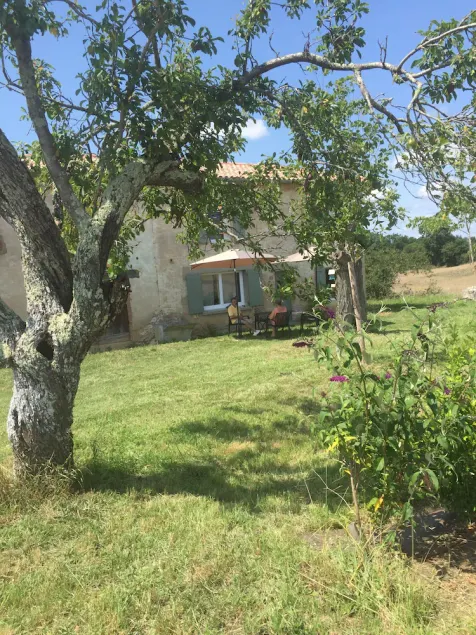 Amid bastides, vineyards, and forests - Image 1