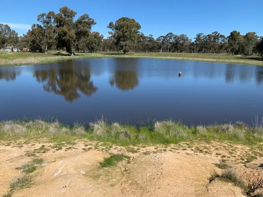 Mariam Farm Stay - Image 1
