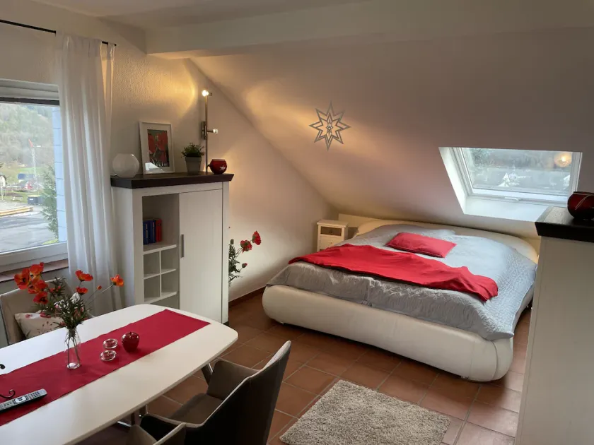 Cozy one-room apartment 15 minutes from the Nürburgring - Image 1