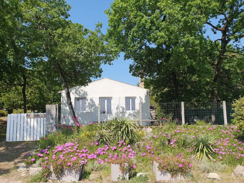 Sea view, Fort Royer beach 2 steps away, enclosed wooded grounds 1400 m², 3 terraces, GOLF - Image 1
