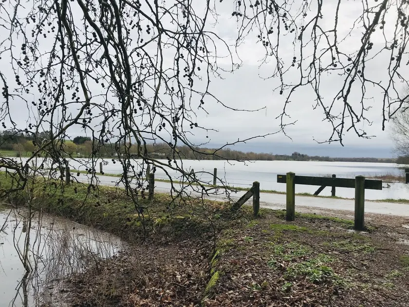 Gite en Ardennes  Lac de Bairon- Baignade - Campagne-Randonnées-pêche - Image 1